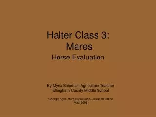 Halter Class 3: Mares