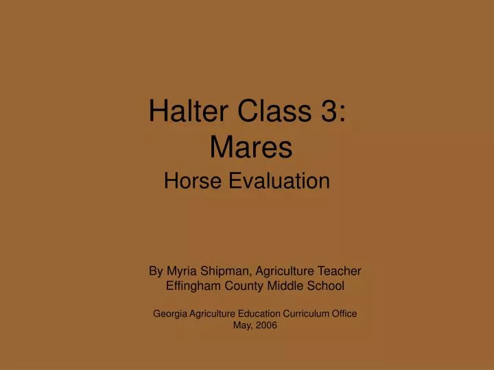halter class 3 mares