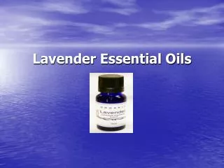 100% Pure Lavender Essential Oils - Healthshop101