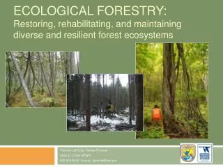 Ecological Forestry: Restoring, rehabilitating, and maintaining diverse and resilient forest ecosystems