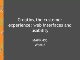 Creating the customer experience: web interfaces and usability