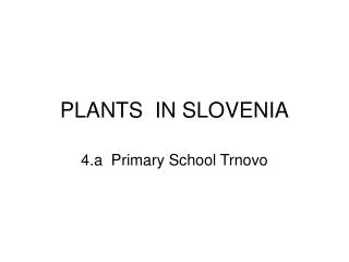 PLANTS IN SLOVENIA