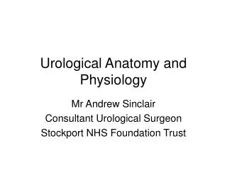 Urological Anatomy and Physiology