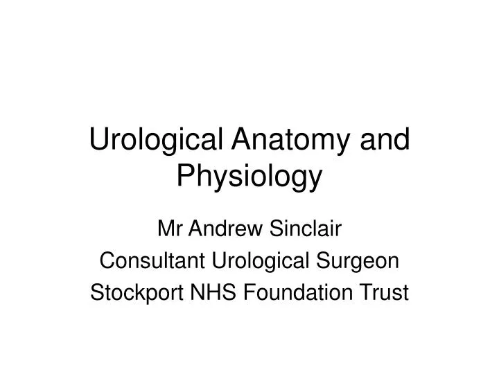 urological anatomy and physiology