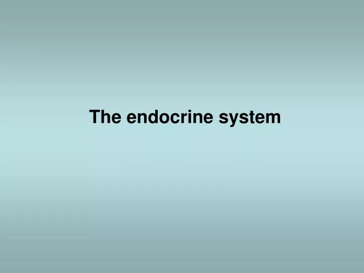 the endocrine system