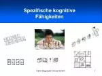 Spezifische kognitive Fähigkeiten - slide 1