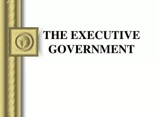 THE EXECUTIVE GOVERNMENT
