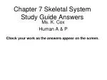 Chapter 7 Skeletal System Study Guide Answers - slide 1