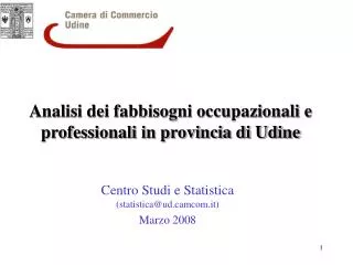 Analisi dei fabbisogni occupazionali e professionali in provincia di Udine