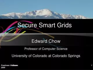 Secure Smart Grids