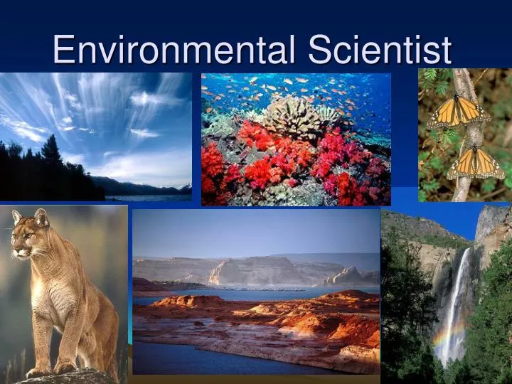 environmental scientist