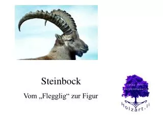 steinbock