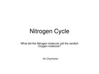 Nitrogen Cycle