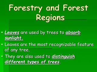 Forestry and Forest Regions Leaves are used by trees to absorb sunlight. Leaves are the most recognizable feature of