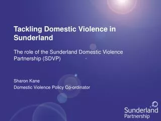 Tackling Domestic Violence in Sunderland