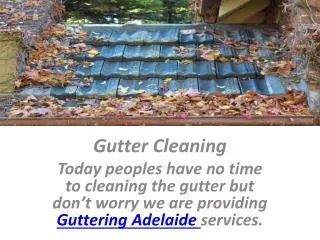 adelaide gutter cleaning
