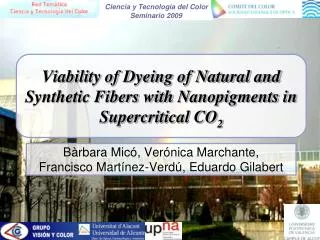Viability of Dyeing of Natural and Synthetic Fibers with Nanopigments in Supercritical CO 2