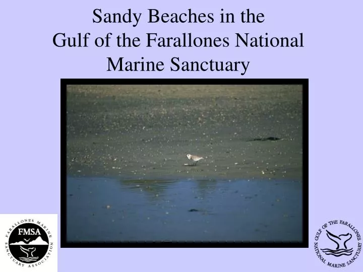 sandy beaches in the gulf of the farallones national marine sanctuary