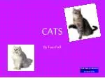 CATS