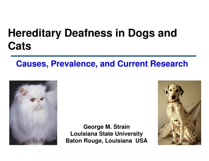 PPT - Hereditary Deafness in Dogs and Cats PowerPoint Presentation ...