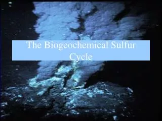 The Biogeochemical Sulfur Cycle