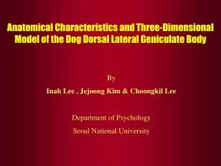Anatomical Characteristics and Three-Dimensional Model of the Dog Dorsal Lateral Geniculate Body