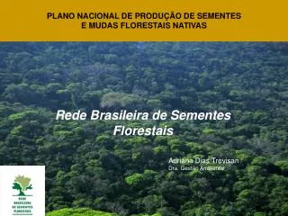 Rede Brasileira de Sementes Florestais