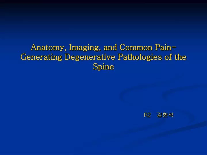 anatomy imaging and common pain generating degenerative pathologies of the spine