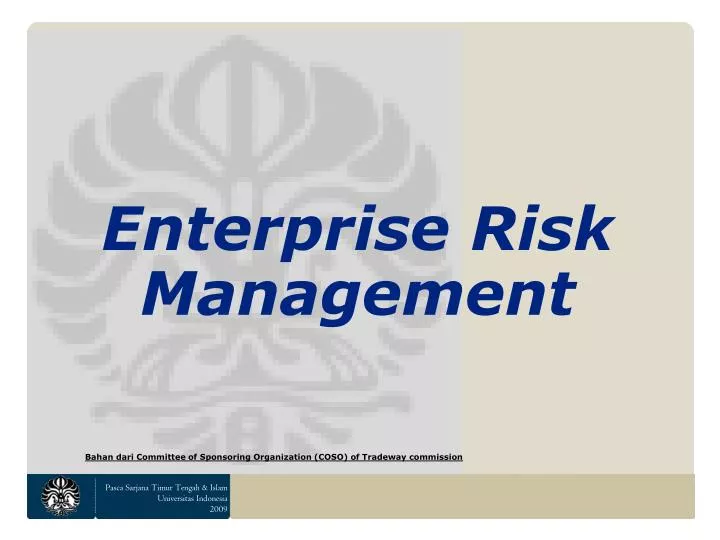 enterprise risk management