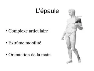 l paule