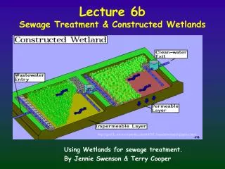 Lecture 6b Sewage Treatment &amp; Constructed Wetlands