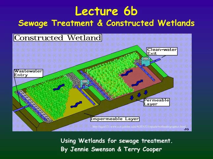 lecture 6b sewage treatment constructed wetlands