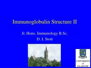 Immunoglobulin Structure II
