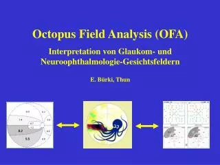 Octopus Field Analysis (OFA) Interpretation von Glaukom- und Neuroophthalmologie-Gesichtsfeldern E. Bürki, Thun
