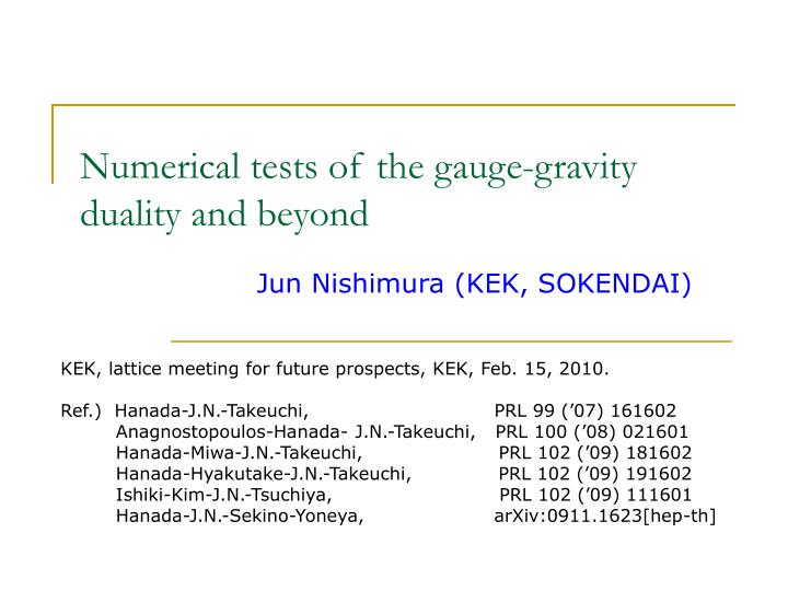 numerical tests of the gauge gravity duality and beyond