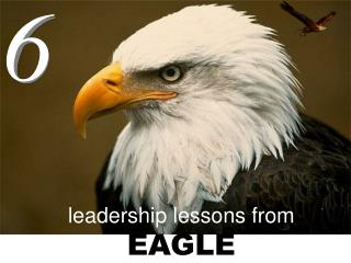 leadership lessons from EAGLE