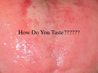 How Do You Taste??????