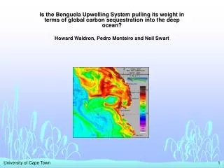 Is the Benguela Upwelling System pulling its weight in terms of global carbon sequestration into the deep ocean? Howard