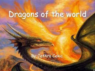 Dragons of the world