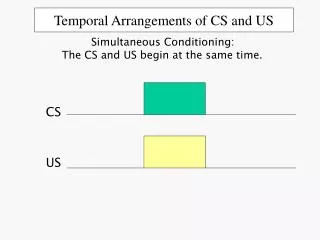 Temporal Arrangements of CS and US
