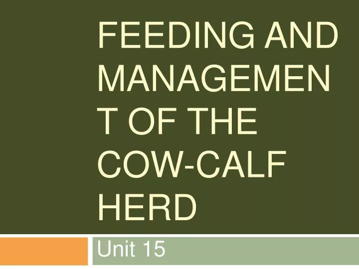 feeding and management of the cow calf herd