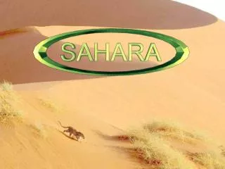 Si je vous demande :  « Le Sahara, qu’est-ce que cela évoque, pour vous ? » Je pense que vous me répondrez : « Du sable