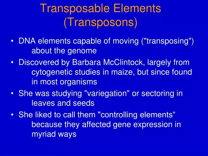 transposable elements transposons