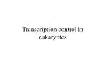 Transcription control in eukaryotes
