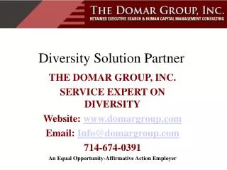 Diversity Solution Partner