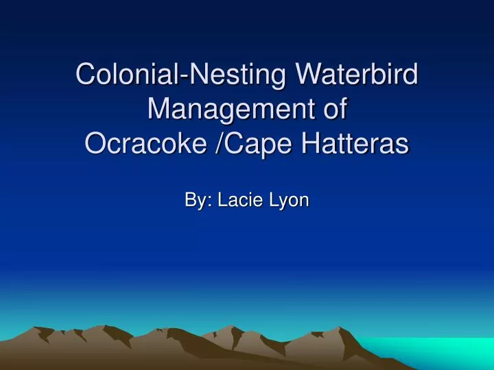 colonial nesting waterbird management of ocracoke cape hatteras