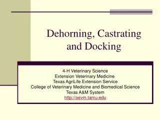 Dehorning, Castrating and Docking