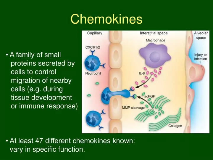 chemokines