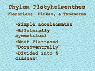 phylum platyhelmenthes planarians flukes tapeworms