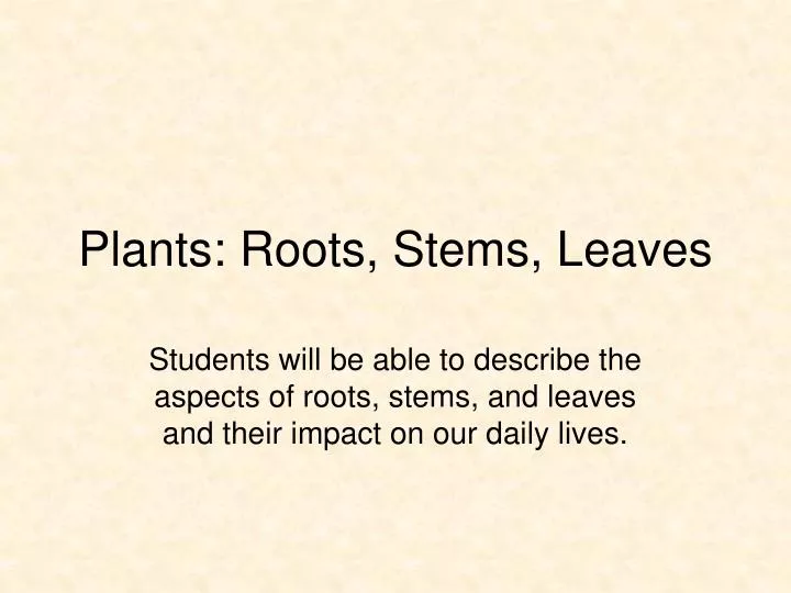 plants roots stems leaves